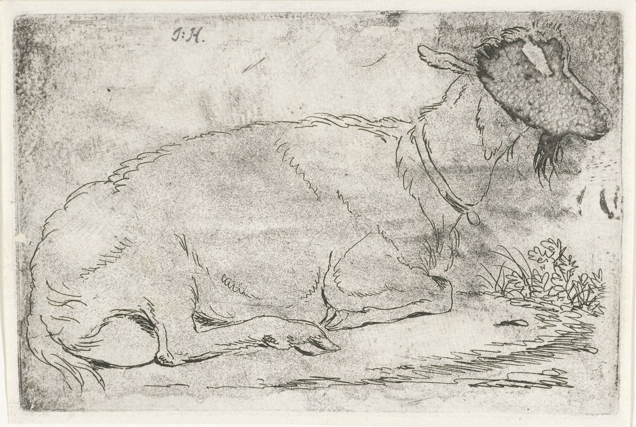 cabra mentirosa de Jabes Heenck (signed by artist)