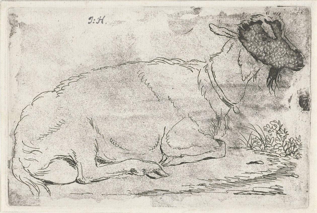 cabra mentirosa de Jabes Heenck (signed by artist)