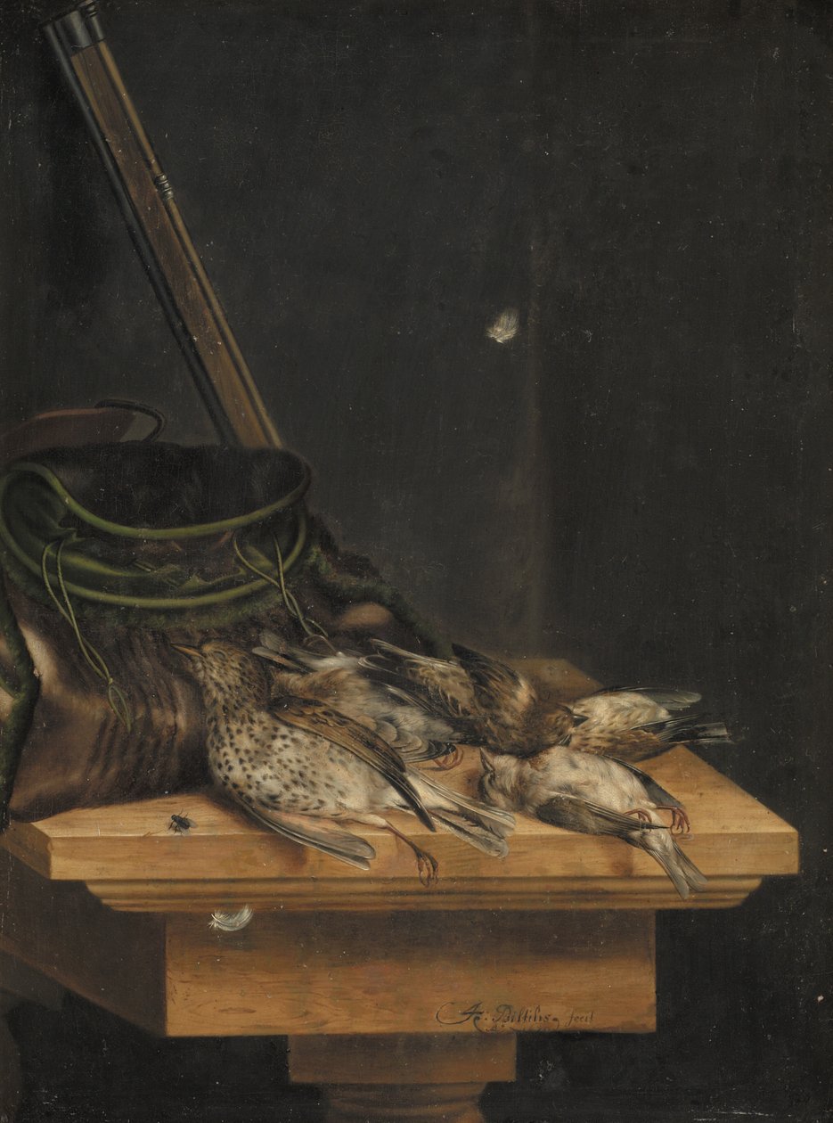 Pájaros muertos de Jacob Biltius