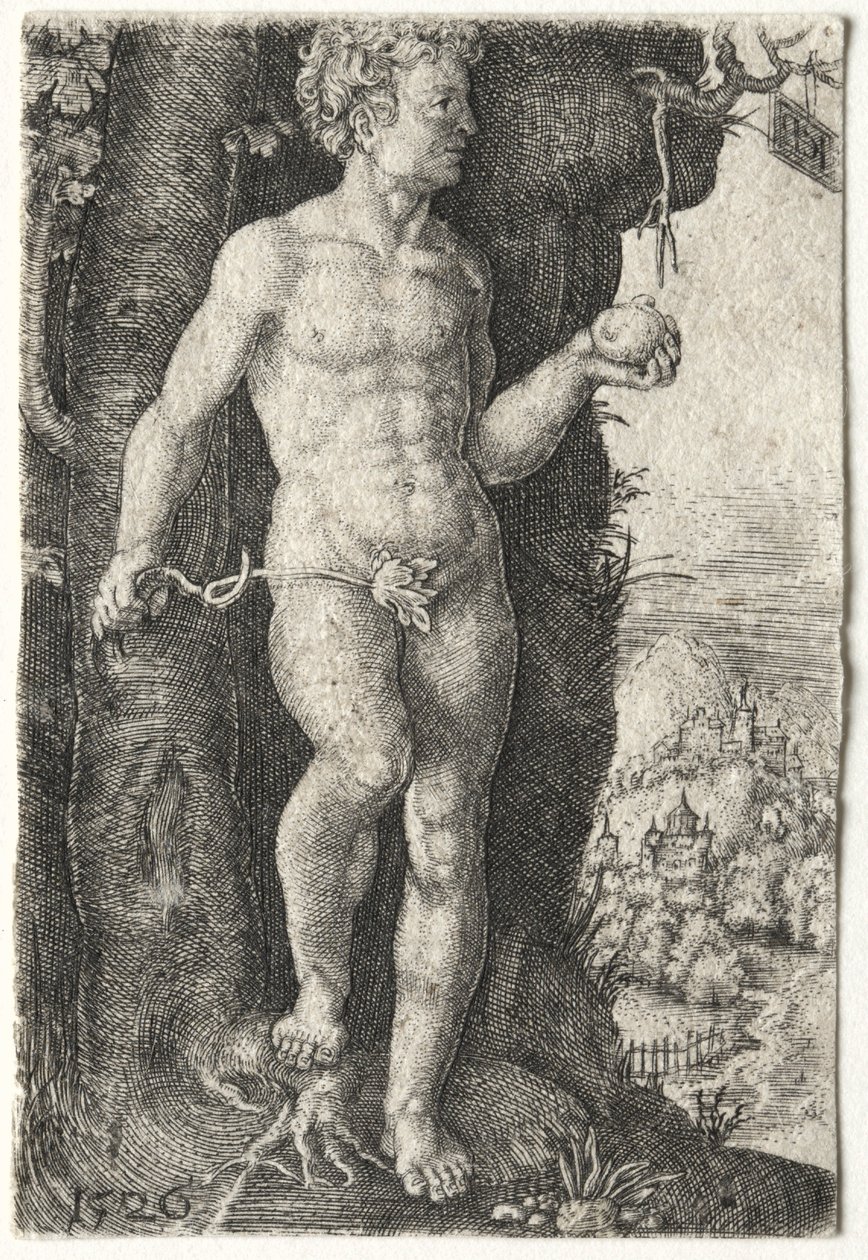 Adán, 1526 de Jacob Binck