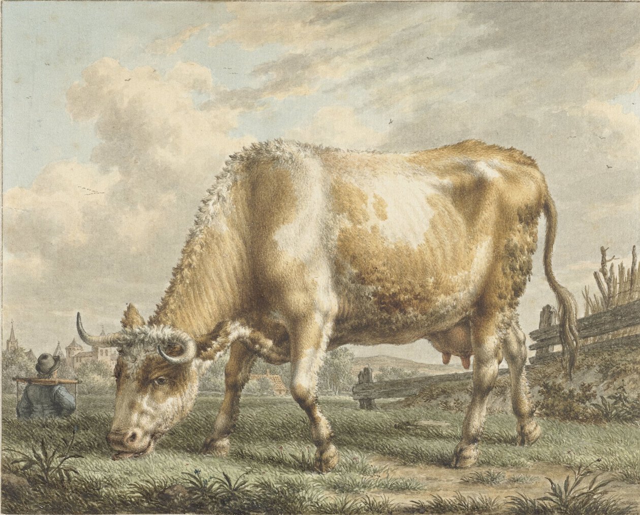 Vaca de pastoreo de Jacob  Cats