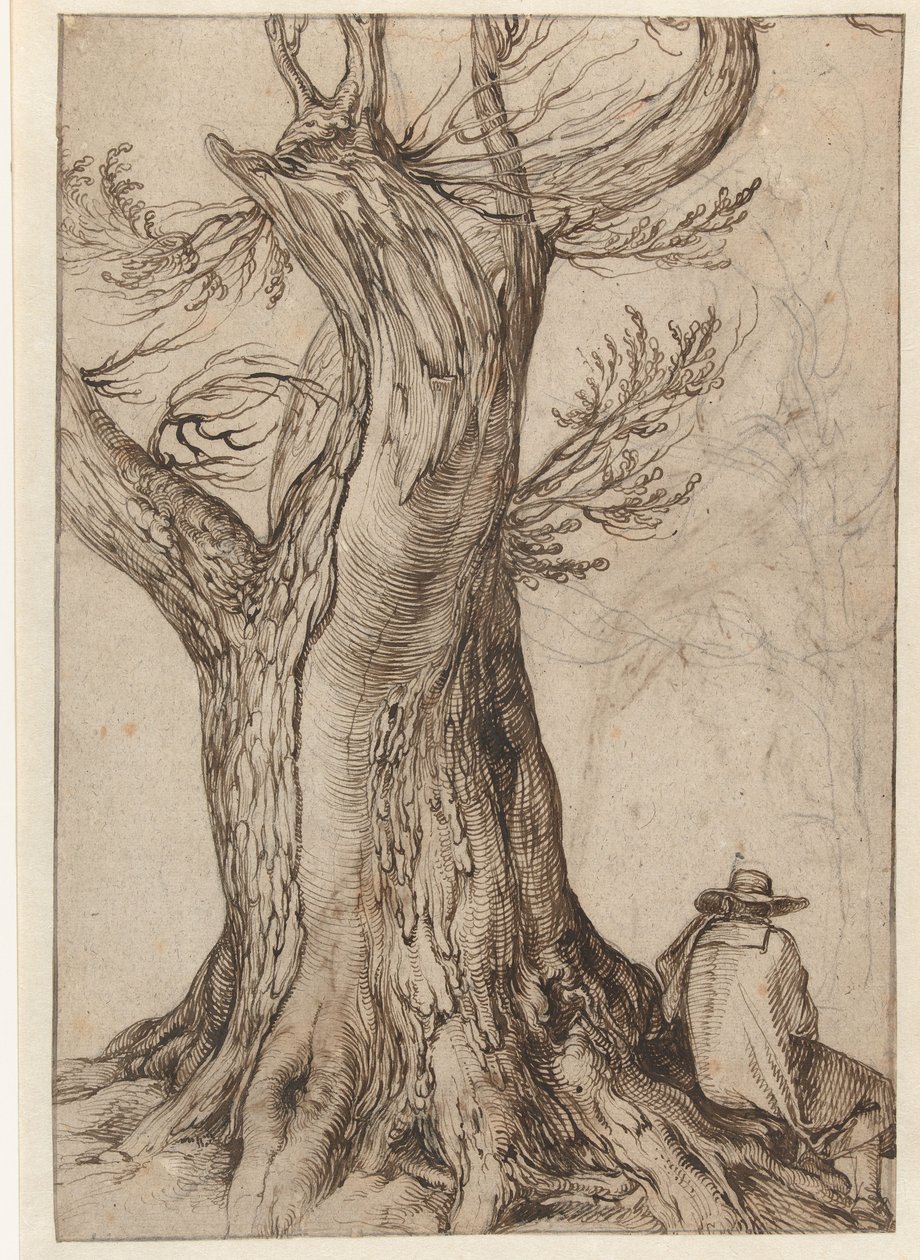 Estudio de un tronco de árbol de Jacob II de Gheyn