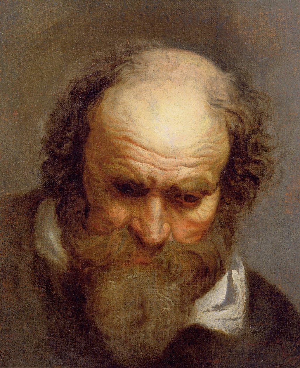 Cabeza de un anciano de Jacob Jordaens