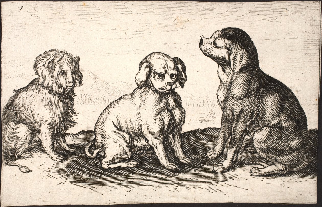 Tres perros pequeños de Jacob Matham
