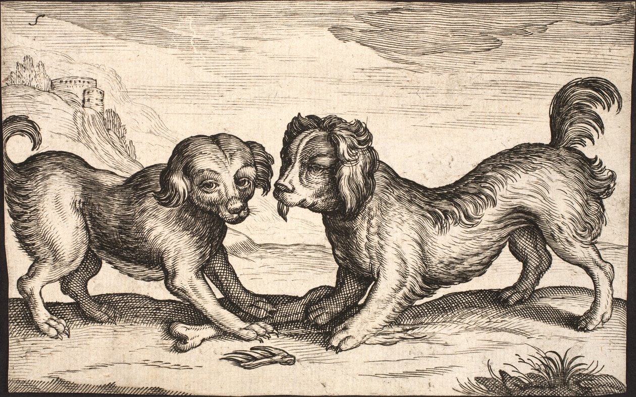 Dos perros pequeños de Jacob Matham