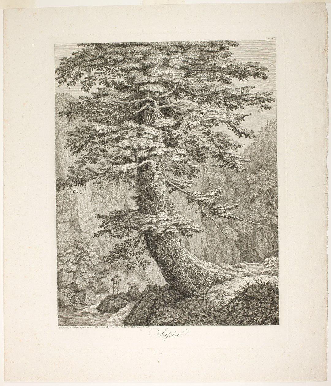 Abeto de Jacob Philipp Hackert