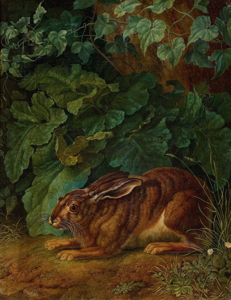 Alemán: Hare in the bushes de Jacob Philipp Hackert