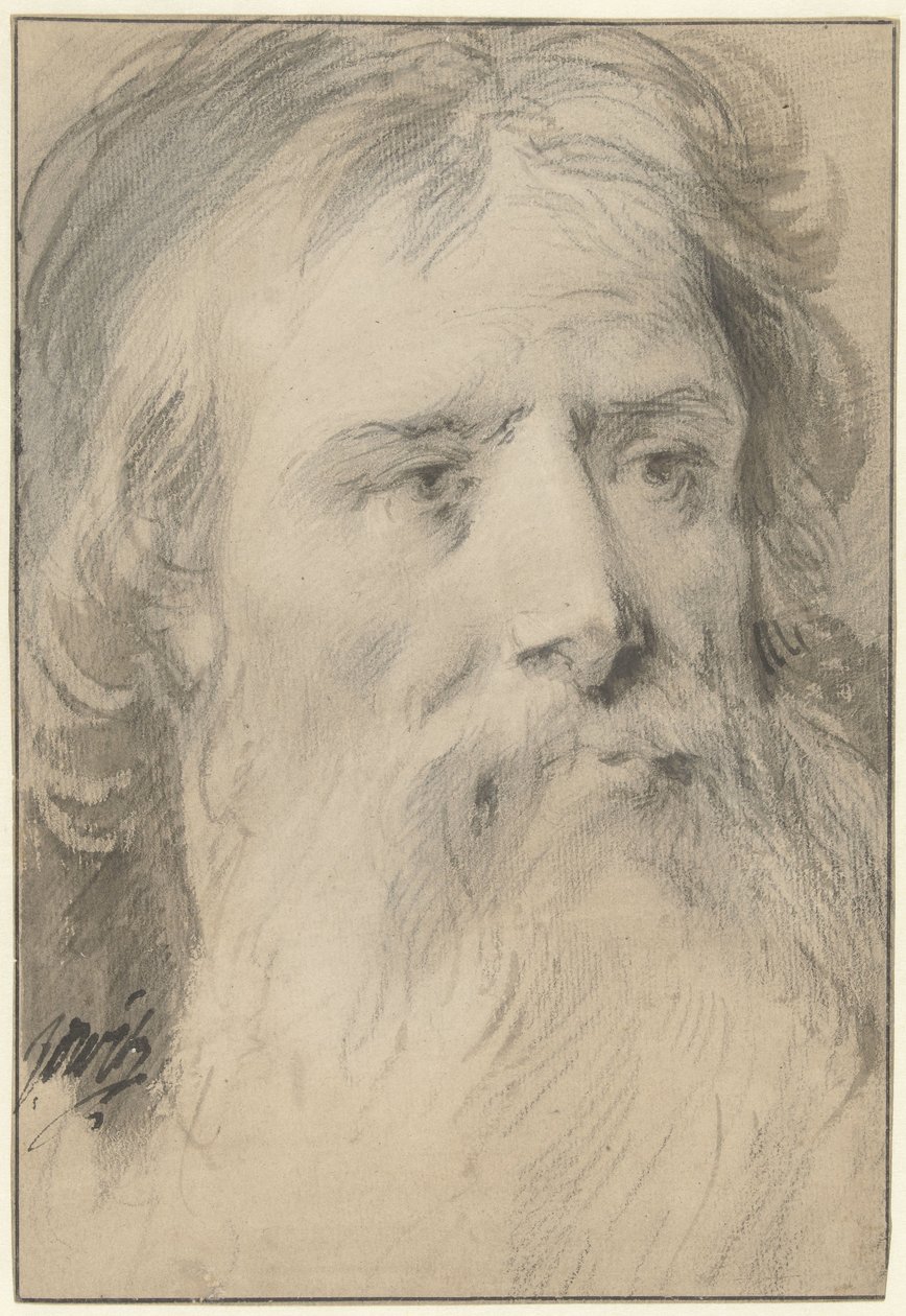 Cabeza de hombre con una gran barba. de Jacob de Wit