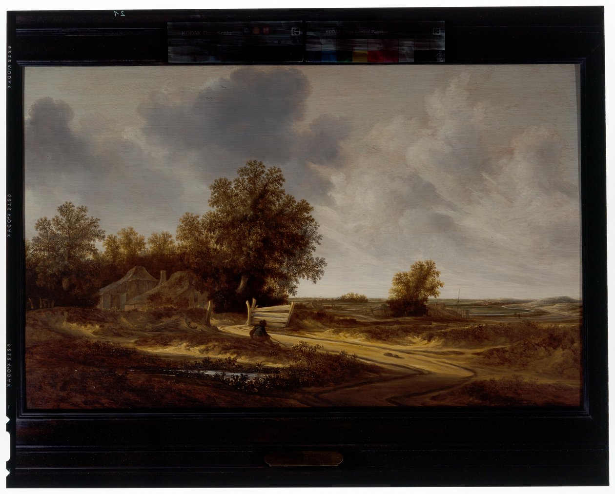 Al borde de la carretera de Jacob van Mosscher