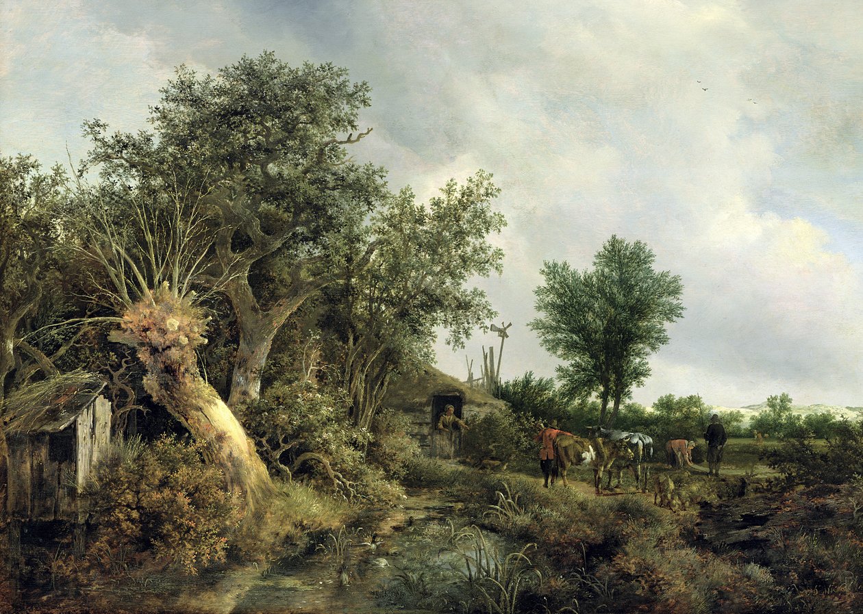 Paisaje con una cabaña, 1646 de Jacob van Ruisdael