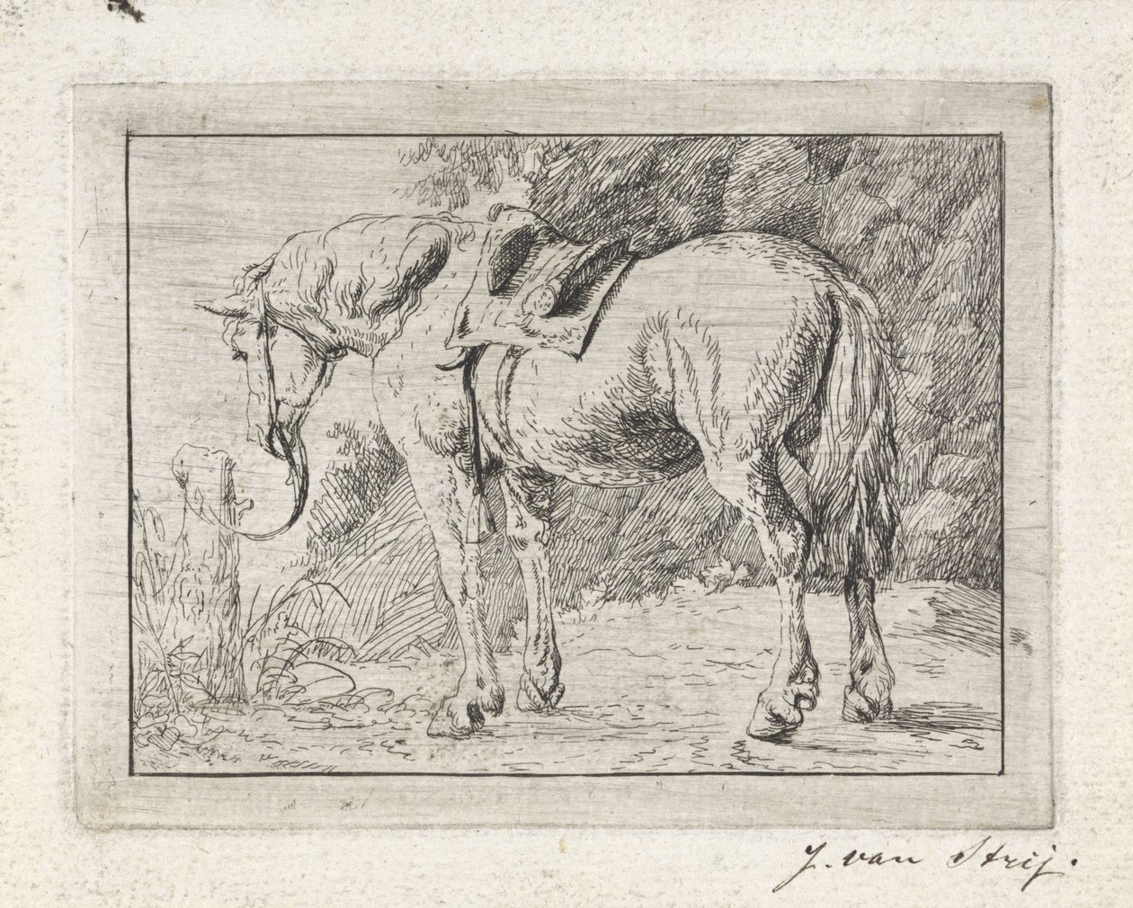 Caballo ensillado atado a un poste de Jacob van Strij