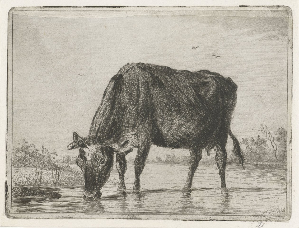 bebiendo vaca de Jacobus Cornelis Gaal