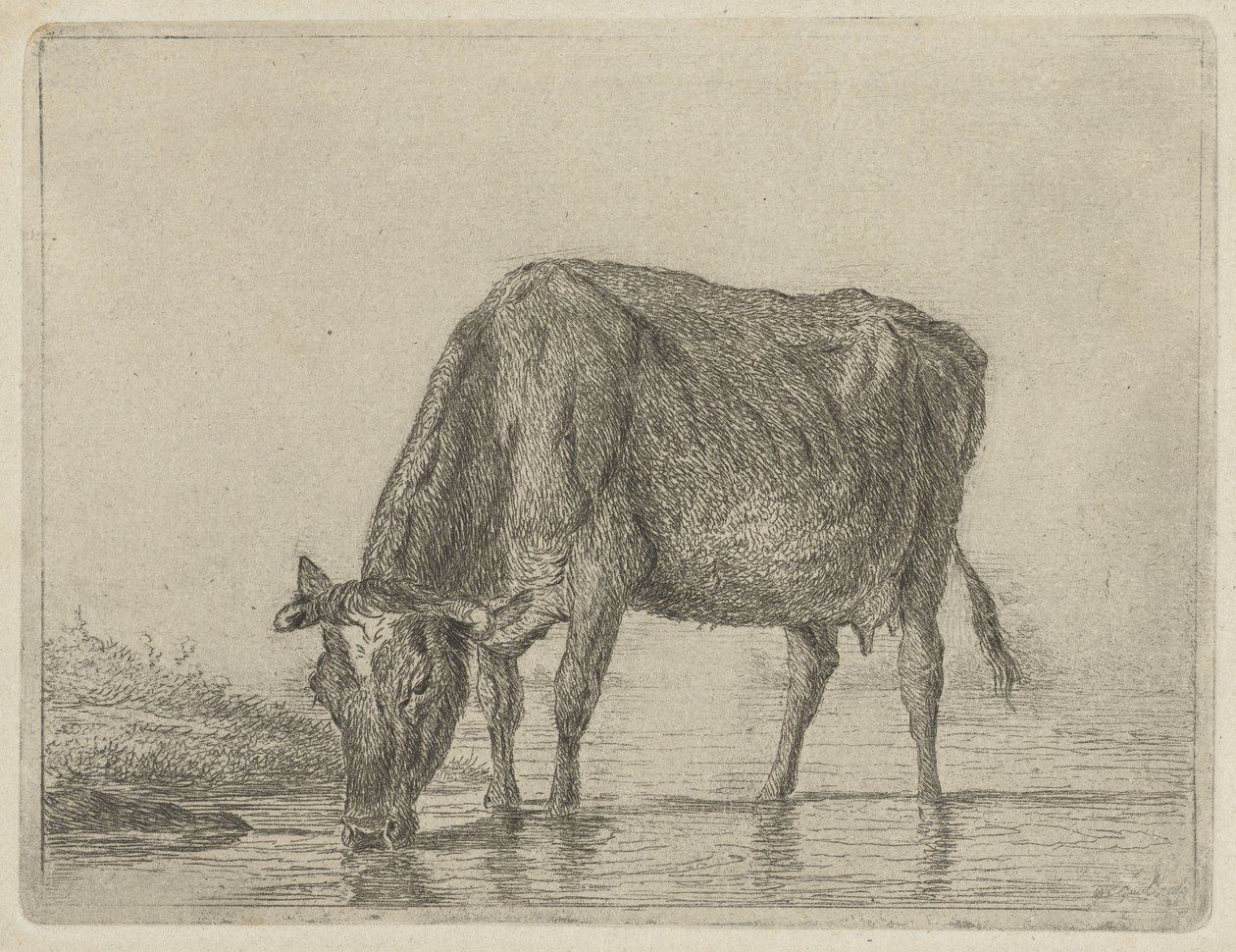 bebiendo vaca de Jacobus Cornelis Gaal