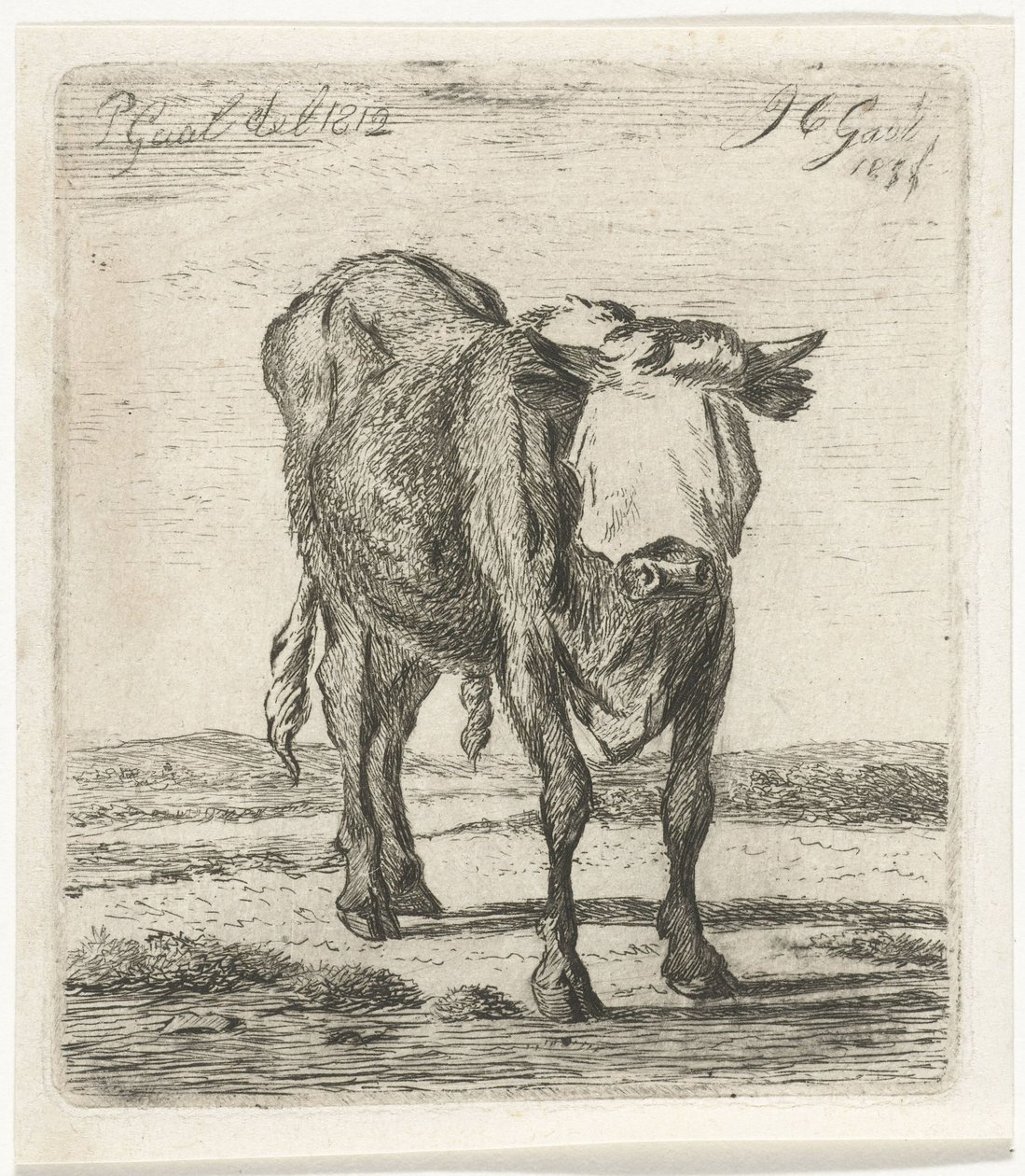 Toro con los ojos vendados de Jacobus Cornelis Gaal