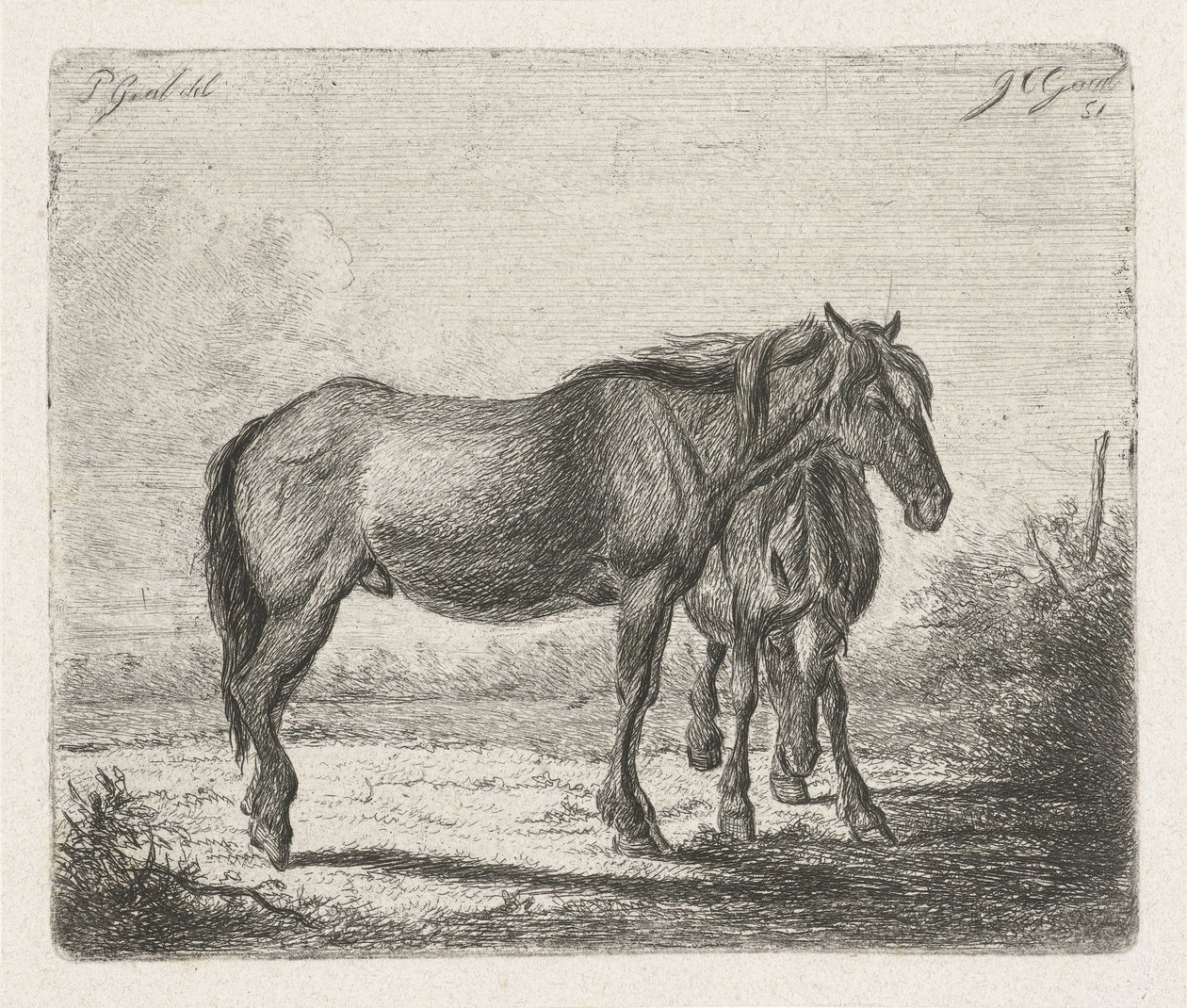 Dos caballos de Jacobus Cornelis Gaal