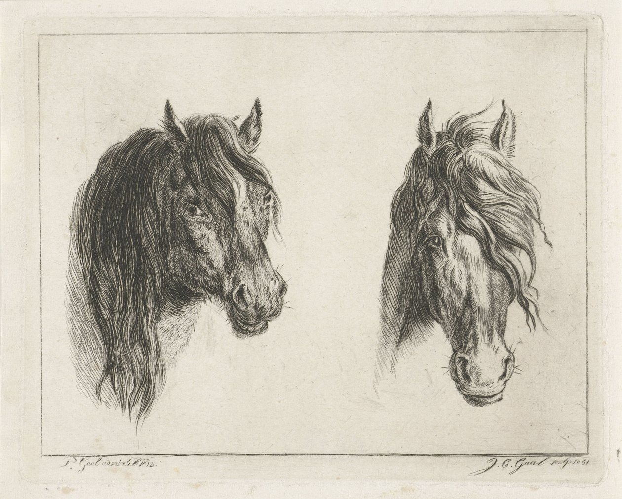 dos cabezas de caballo de Jacobus Cornelis Gaal