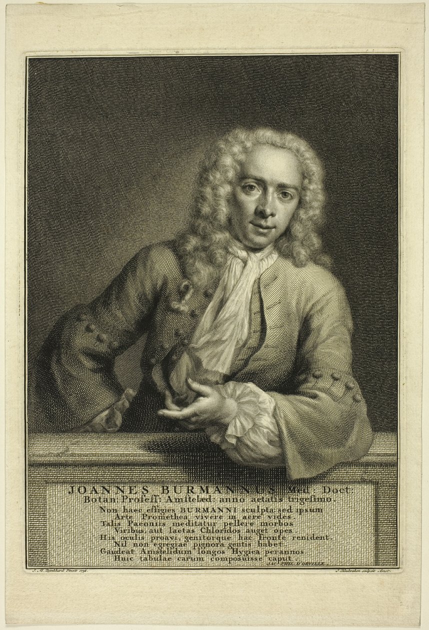 J. Burmannus de Jacobus Houbraken