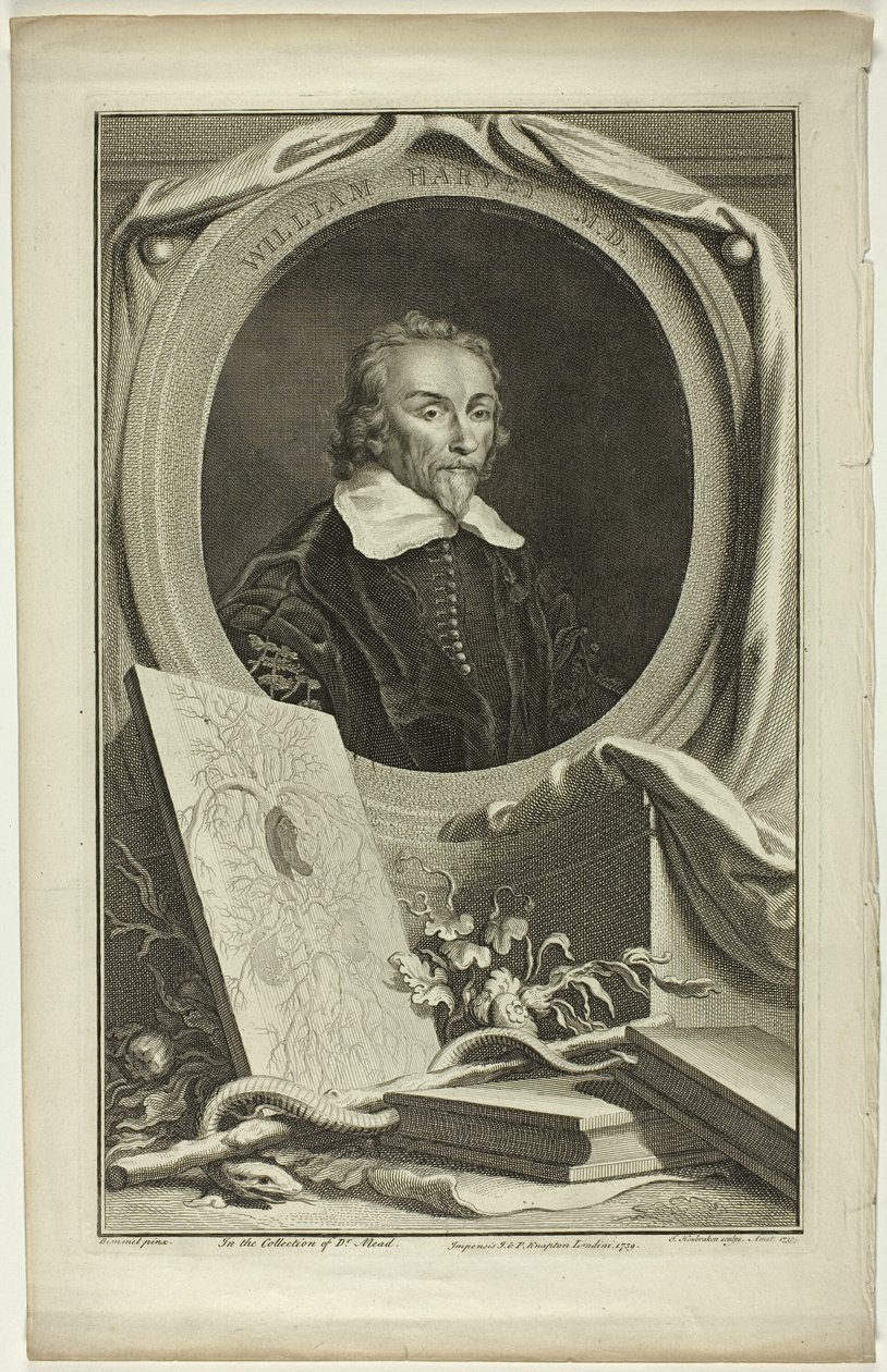 William Harvey, M.D. de Jacobus Houbraken