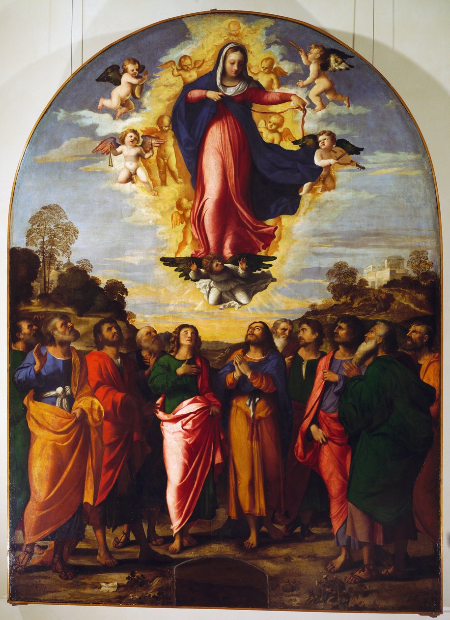 Asunción de la Virgen de Jacopo (c.1480 1528) Palma