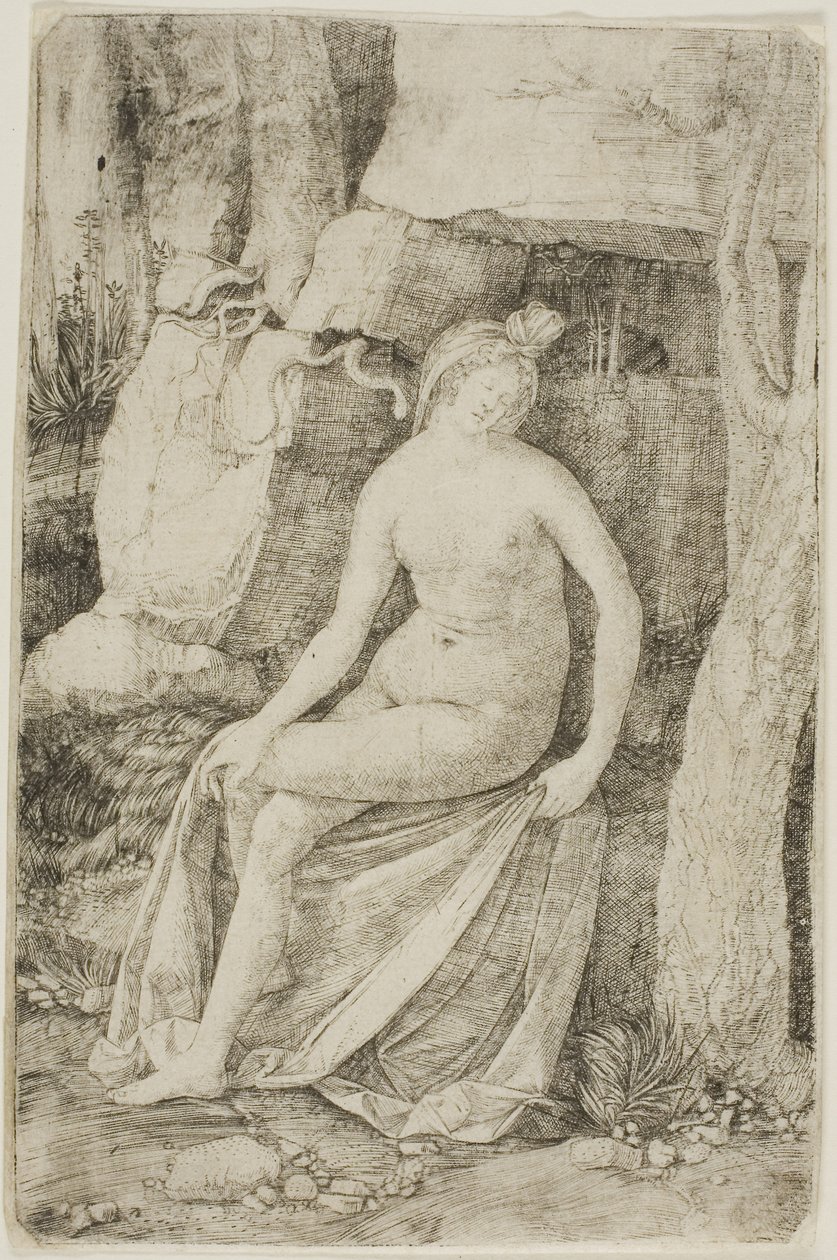 Cleopatra de Jacopo de
