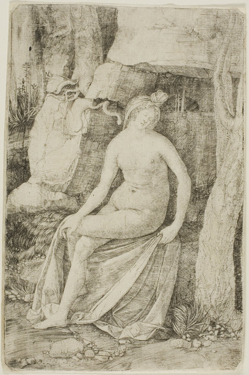 Cleopatra de Jacopo de