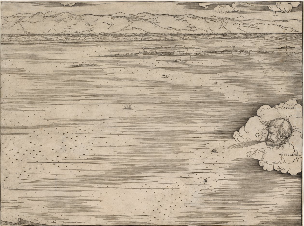 Vista de Venecia de Jacopo de