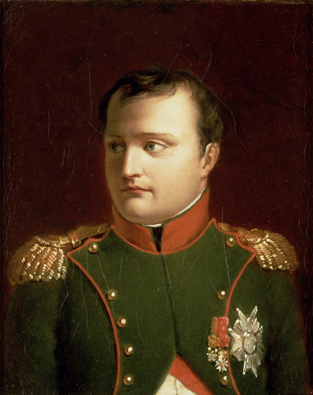 Napoleón Bonaparte (1769-1821) de Jacques Louis David