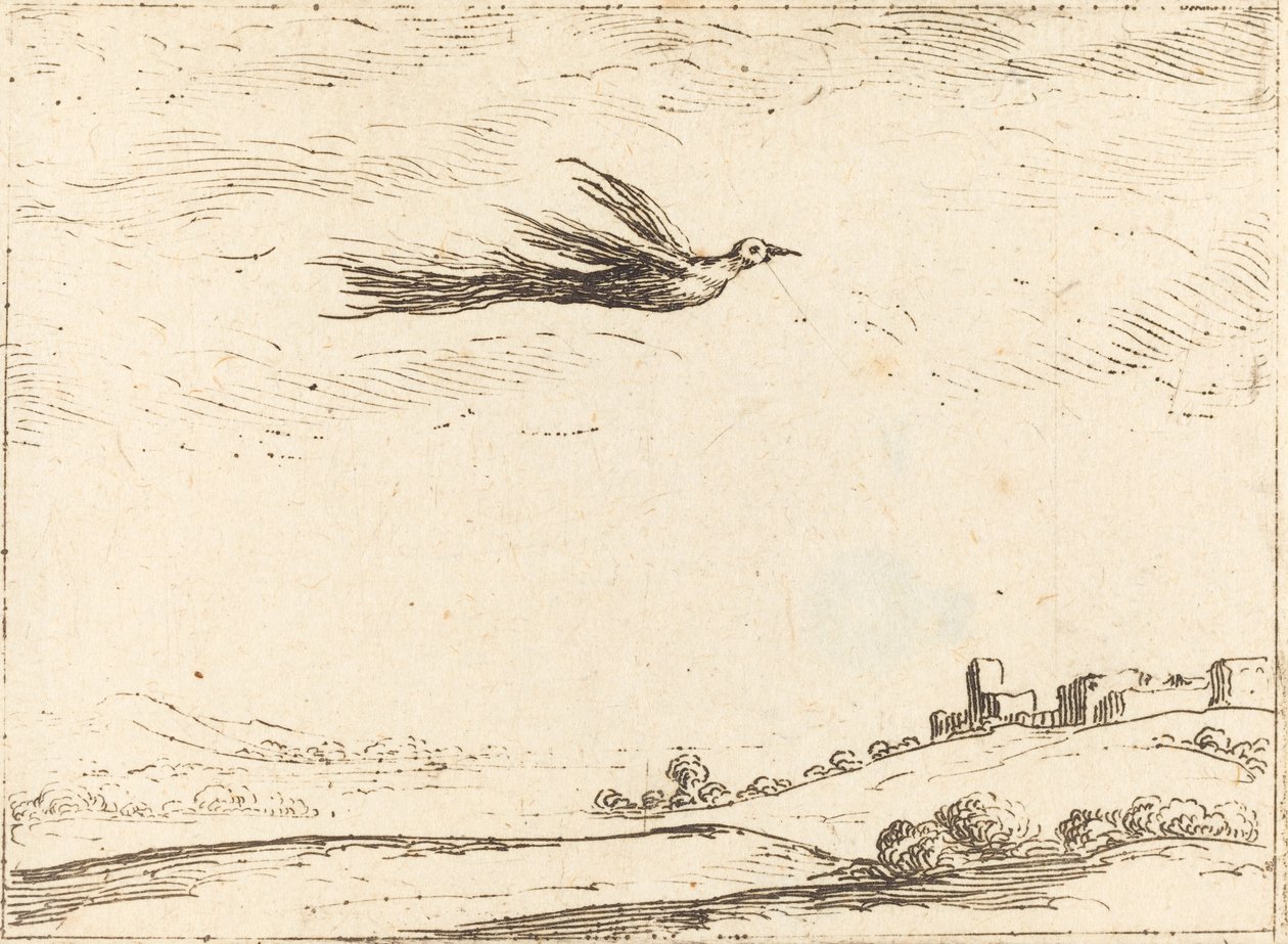 Ave del paraíso de Jacques Callot