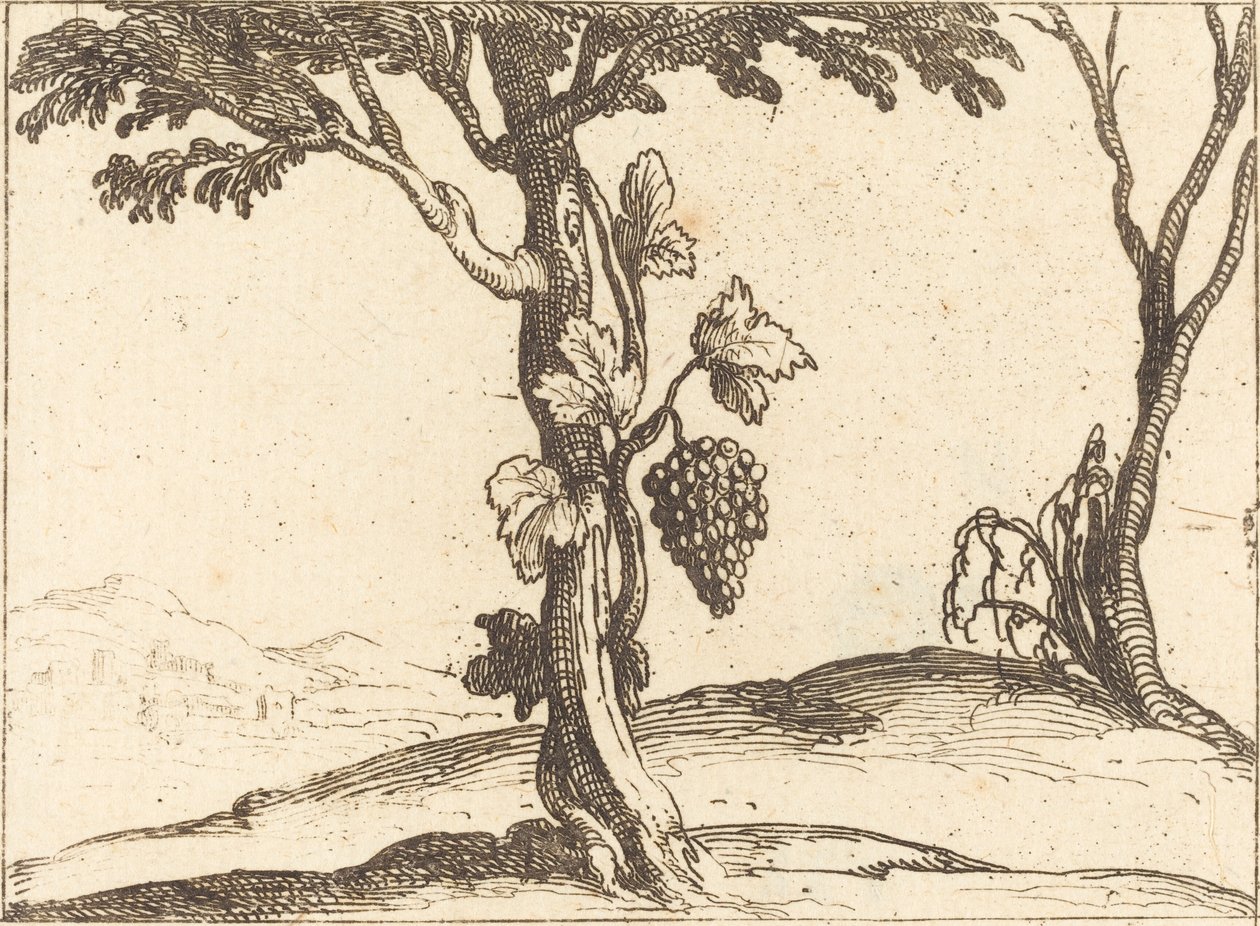 Racimo de uvas de Jacques Callot