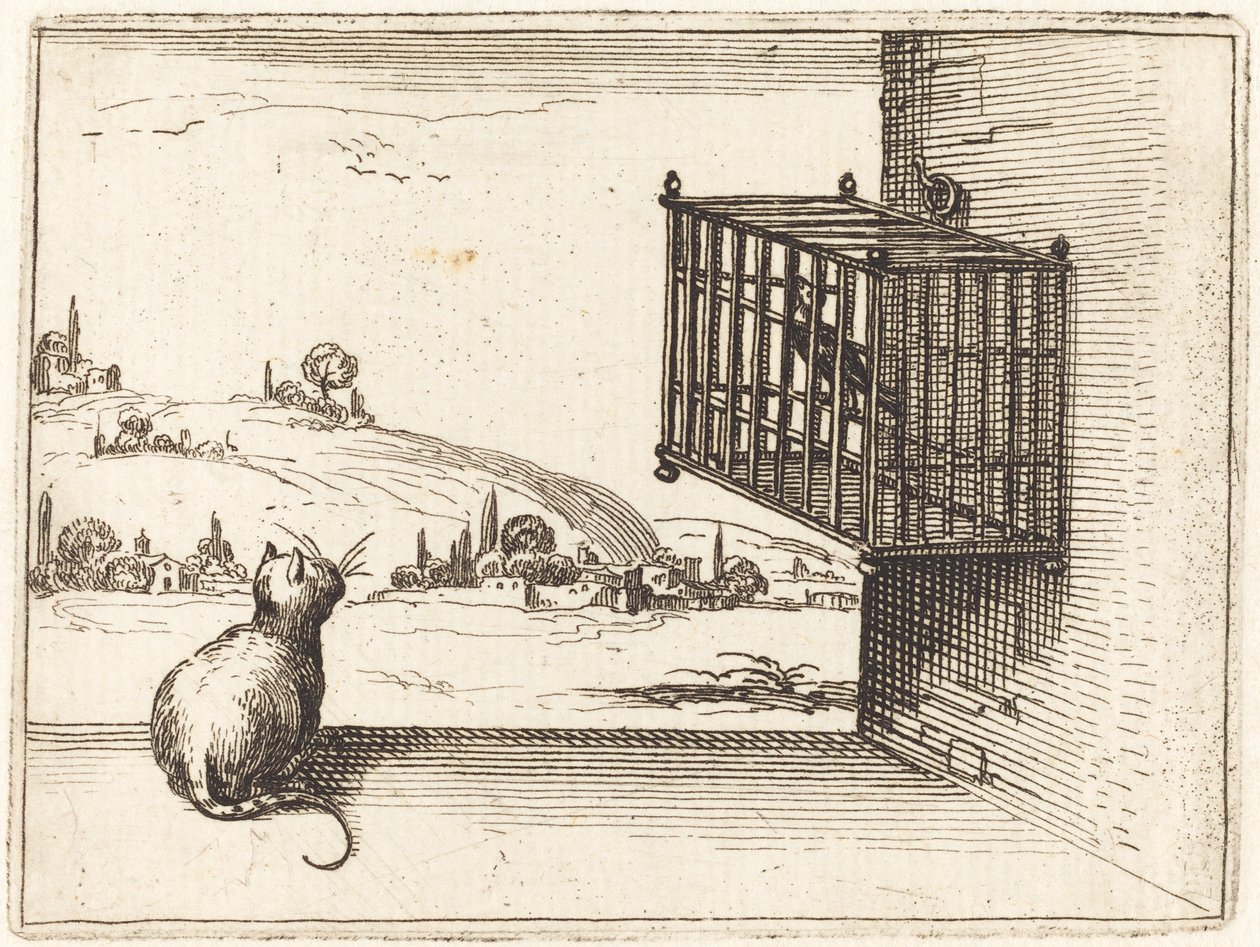 Gato observando un pájaro enjaulado de Jacques Callot