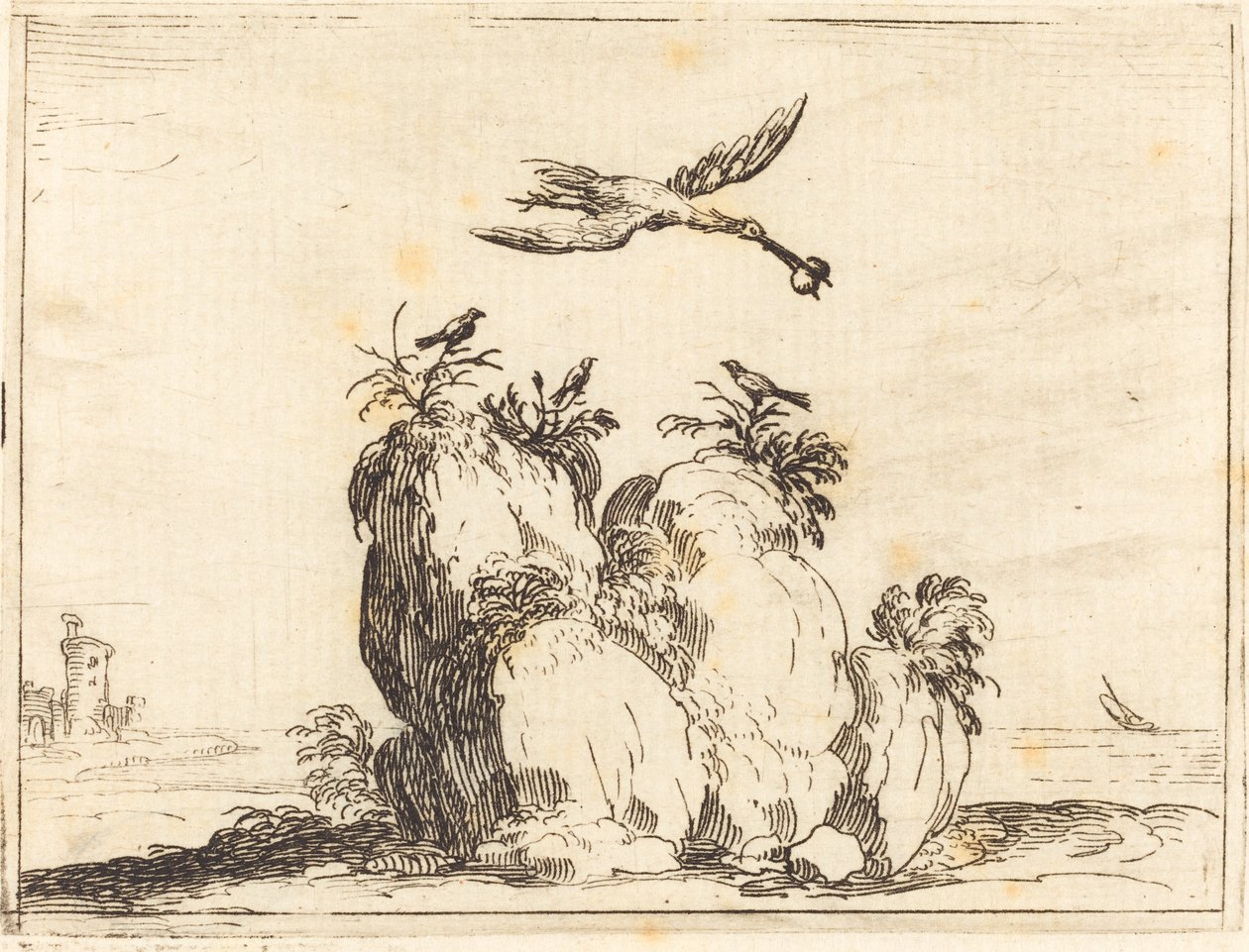 Grulla volando de Jacques Callot
