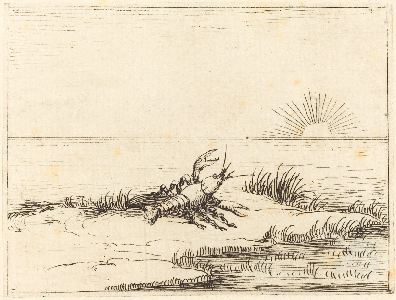 Cangrejo de río mirando al sol de Jacques Callot