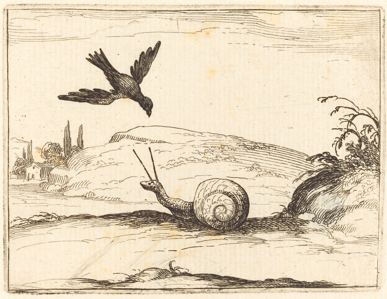 Cuervo y caracol de Jacques Callot