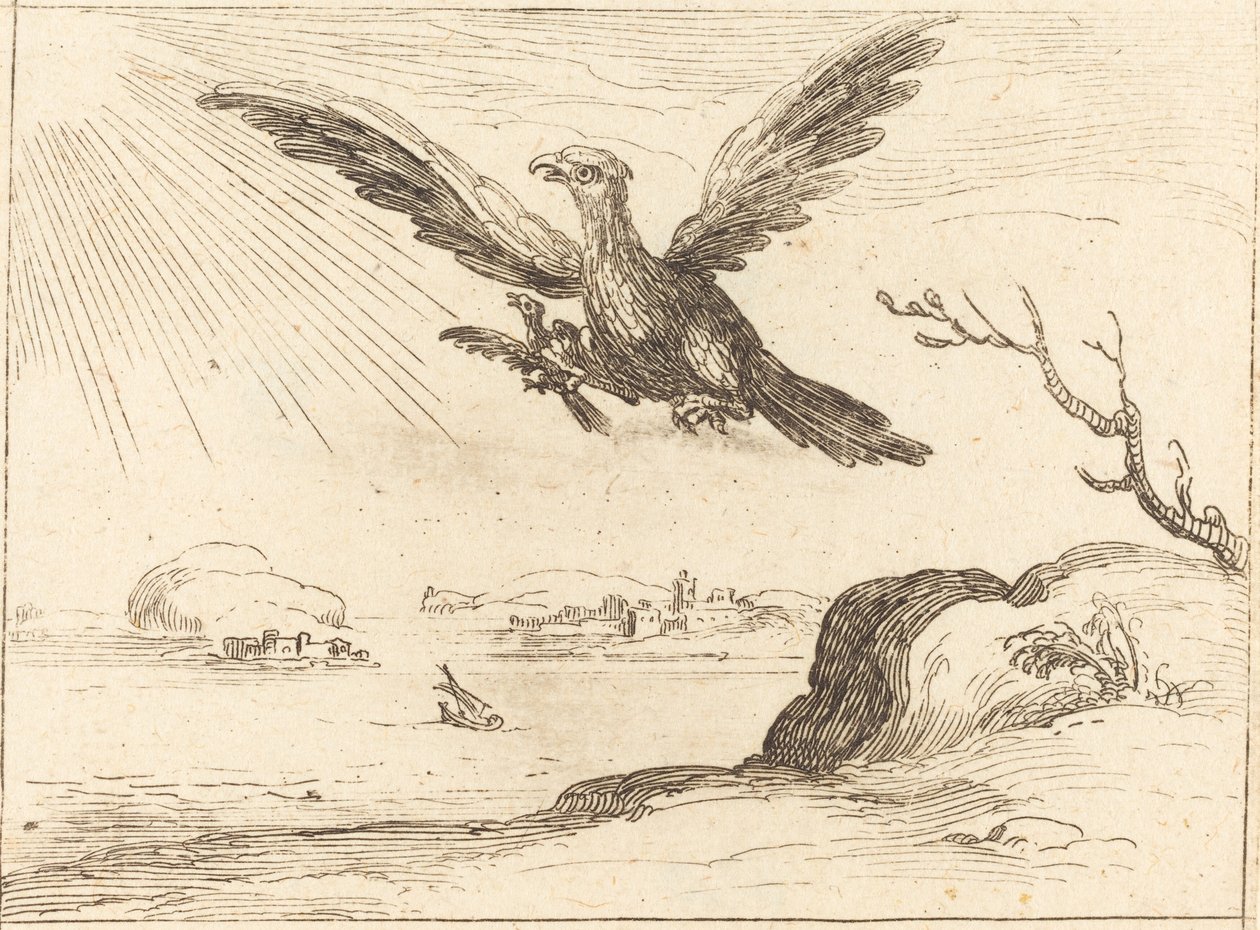 Águila y crías de Jacques Callot