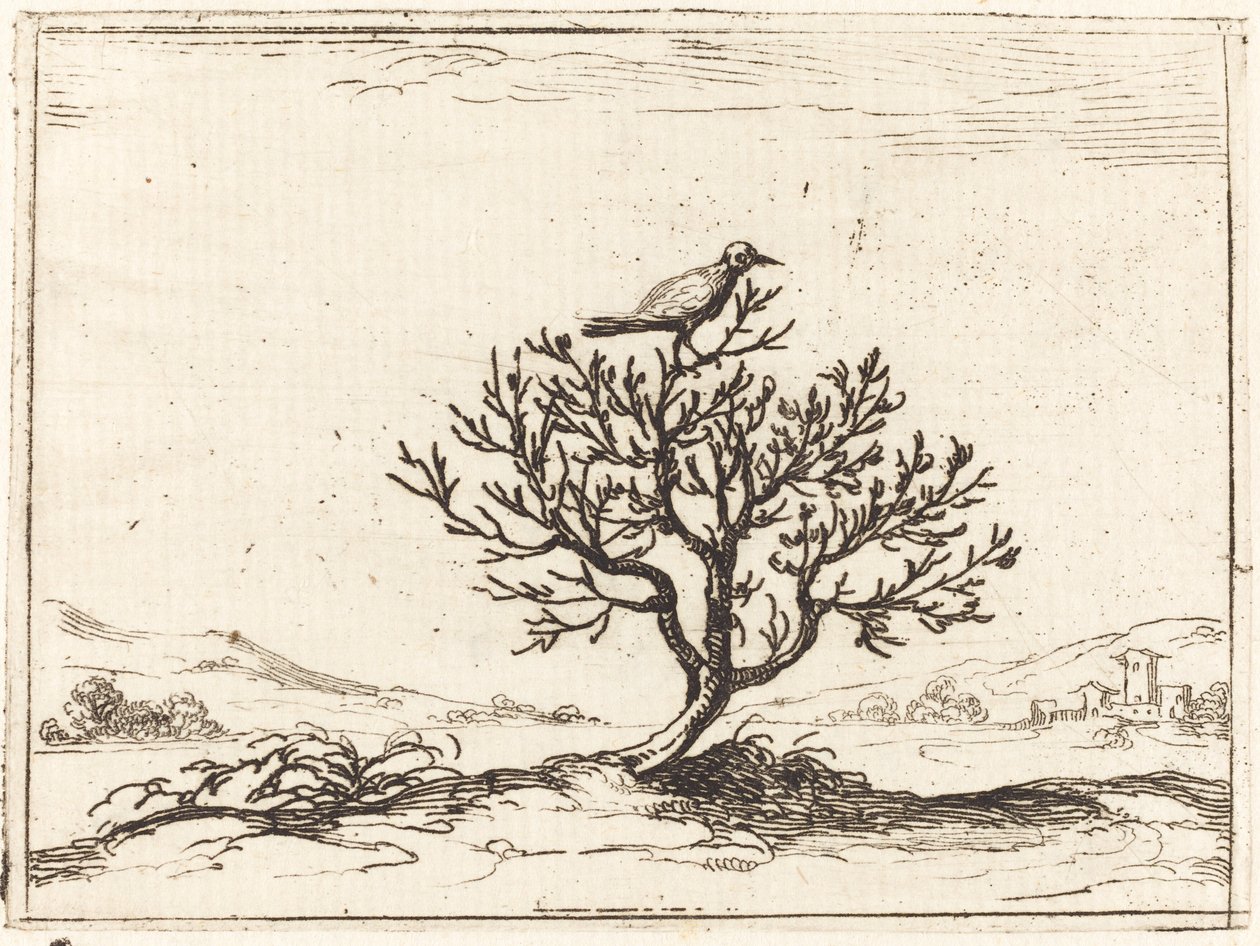 Ruiseñor en un arbusto de Jacques Callot