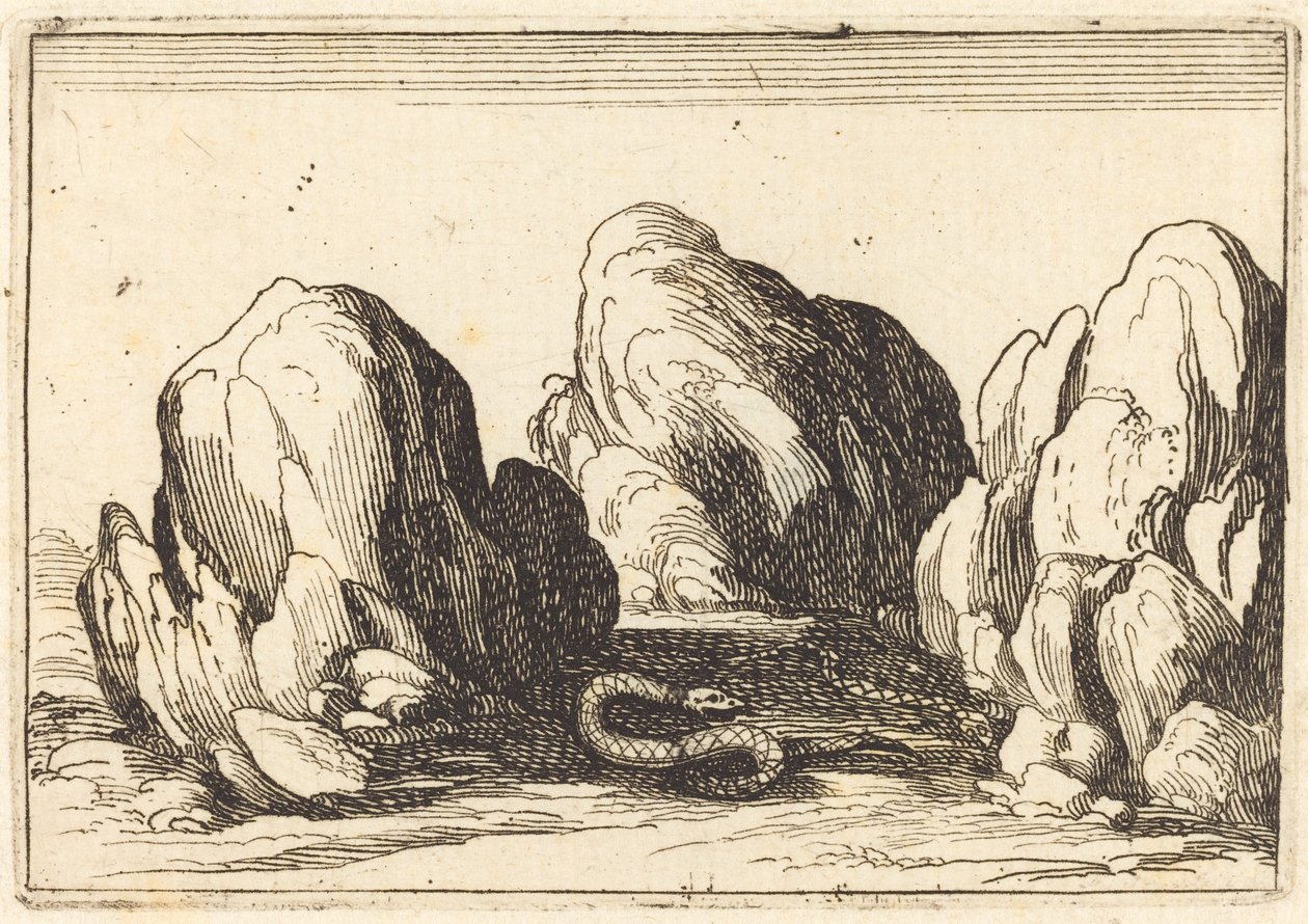 Serpiente de Jacques Callot