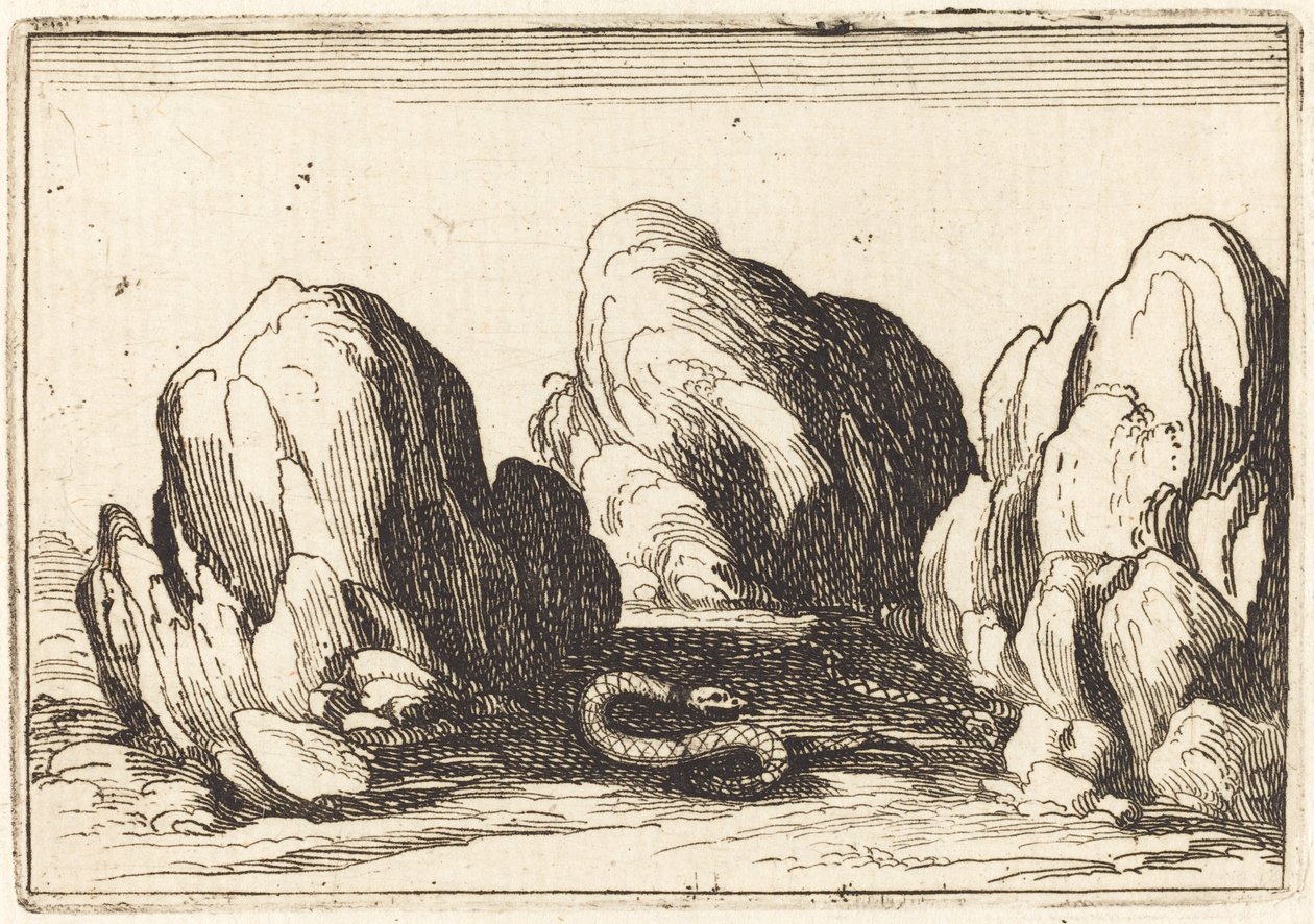 Serpiente, 1628 de Jacques Callot