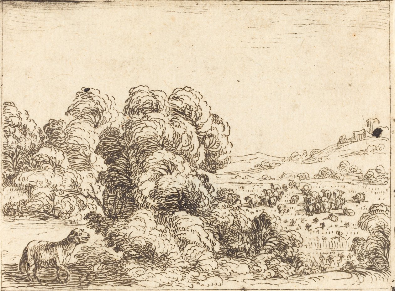 Oveja llamando al cordero de Jacques Callot