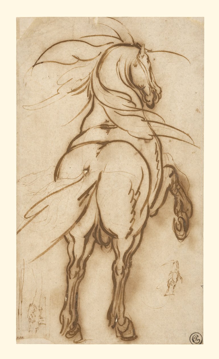 Estudio de un caballo de cría de Jacques Callot