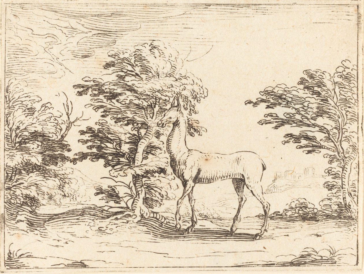 La Cierva de Jacques Callot