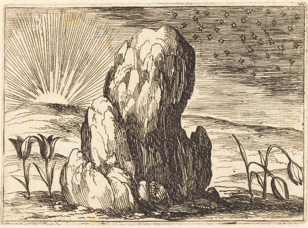 Los tulipanes y el sol de Jacques Callot