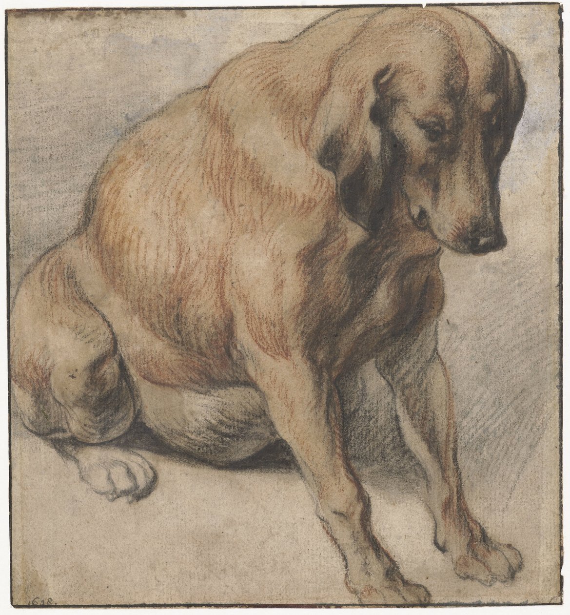 Perro sentado
Perra embarazada sentada de Jacques Jordaens