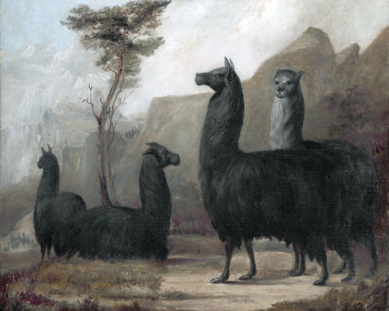 Alpacas de Jacques Laurent Agasse