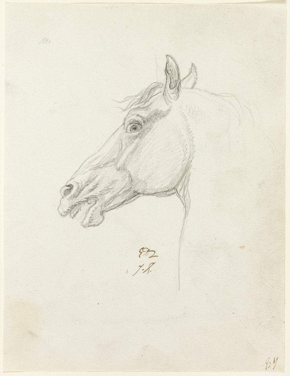 Cabeza de Caballo de Jacques Louis David