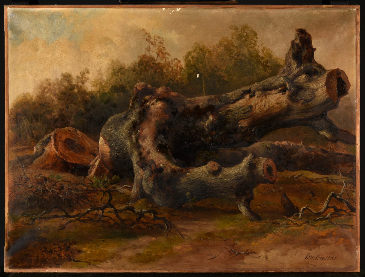 Árbol cortado de Jacques Raymond Brascassat