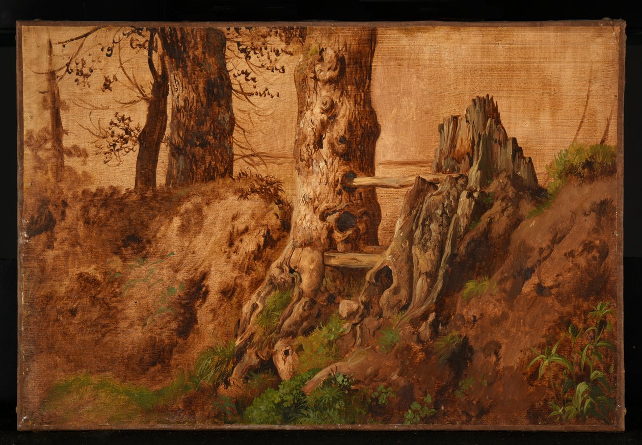 Árboles y rocas de Jacques Raymond Brascassat