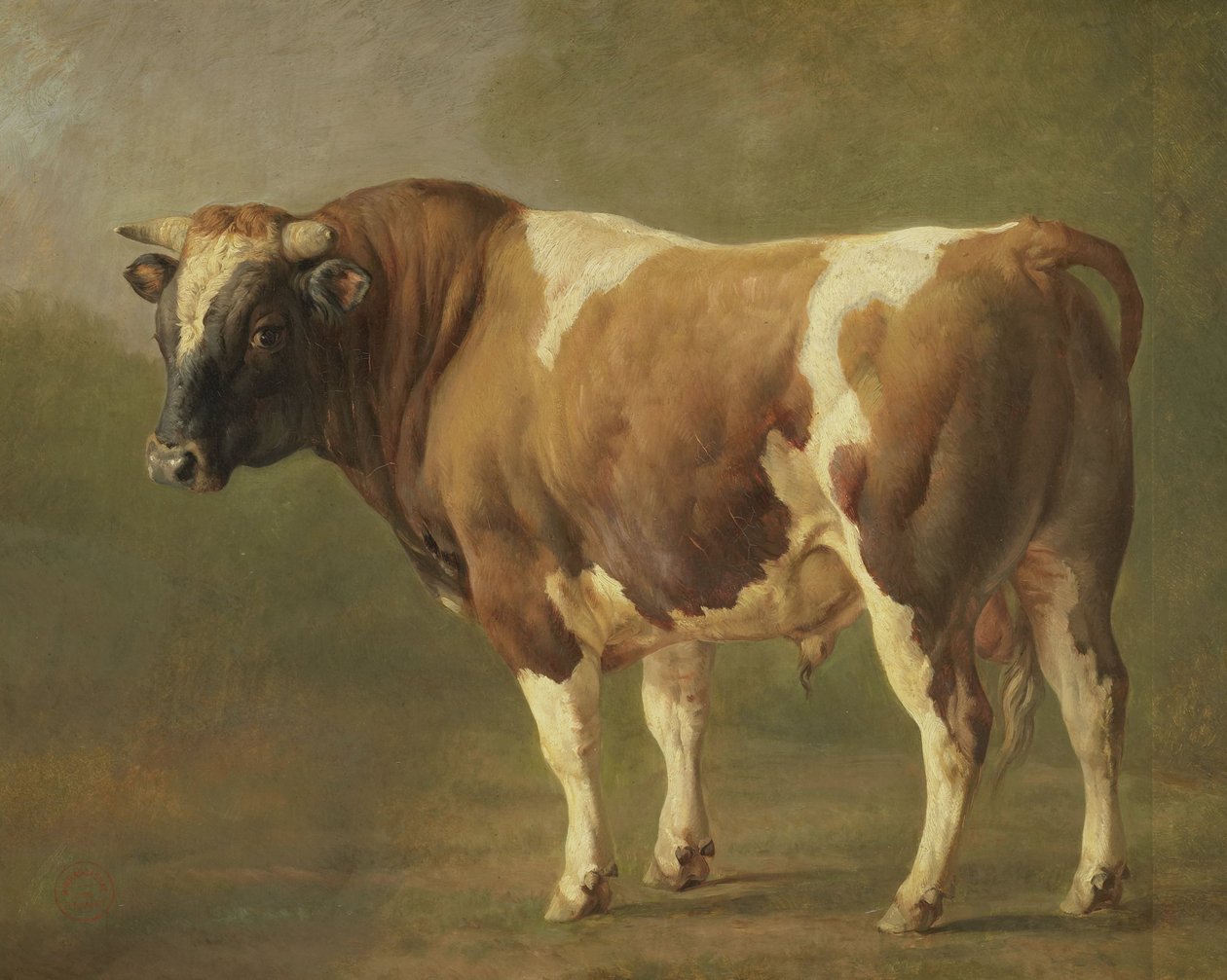 Estudio de un toro de Jacques Raymond Brascassat