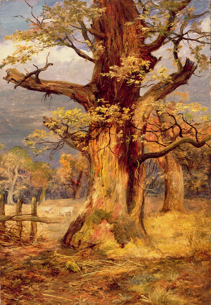 Roble Arrasado, Galloway de James Jnr Faed