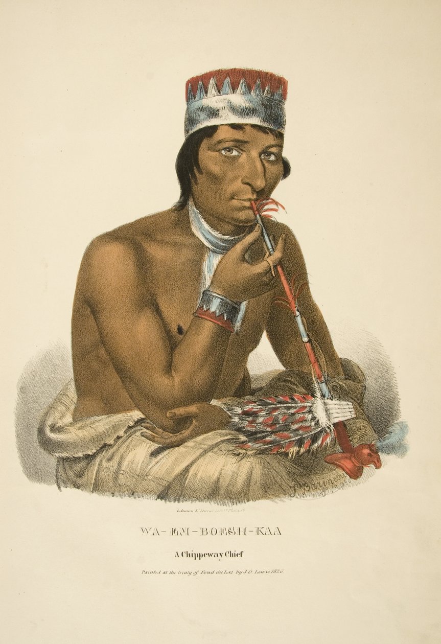 Wa-em-boesh-kaa de James Otto Lewis