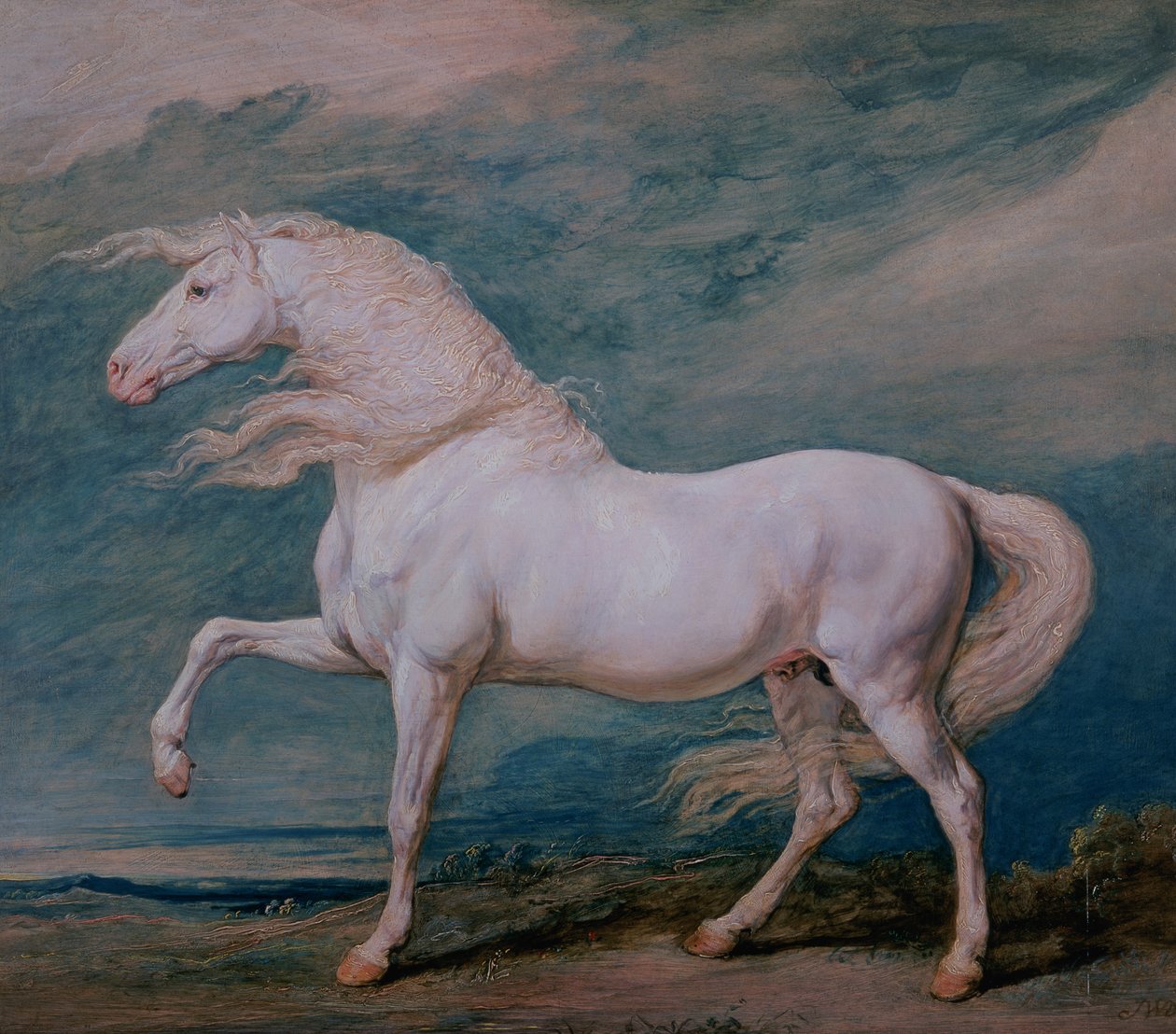 Adonis, un semental blanco de James Ward